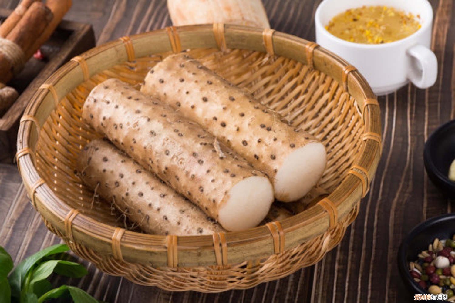 一节山药埋盆里，叶子呼呼爬满墙，来年挂满小豆豆！