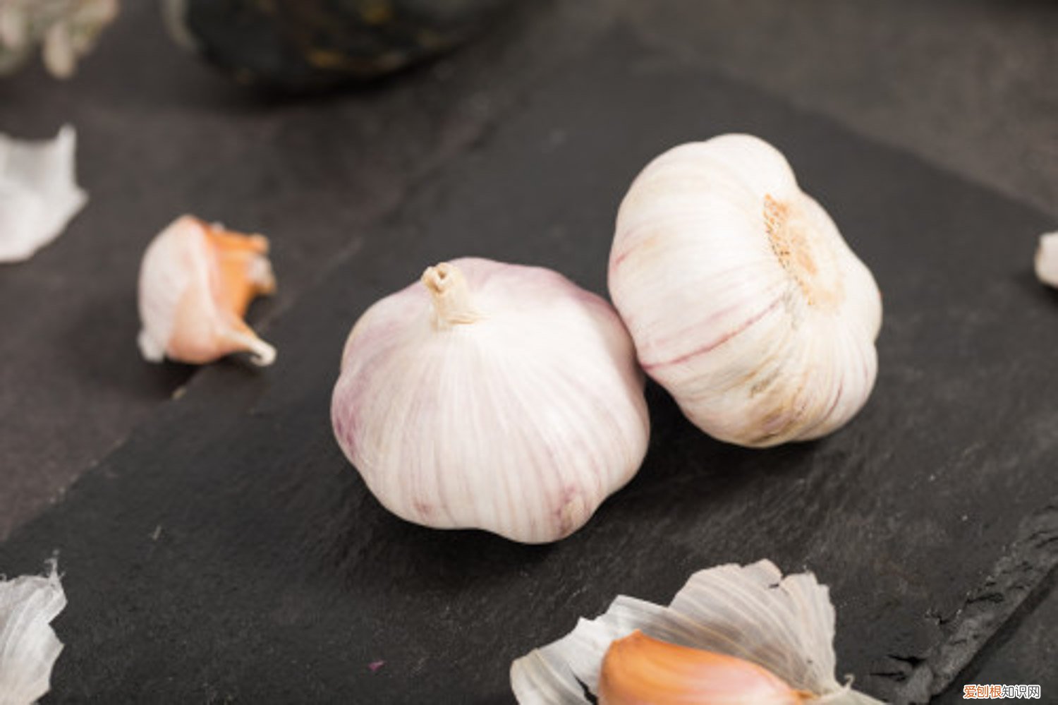 大蒜怎么种植盆栽视频 大蒜怎么种