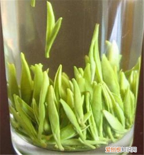 毛峰茶的功效与作用毛峰茶如何冲泡