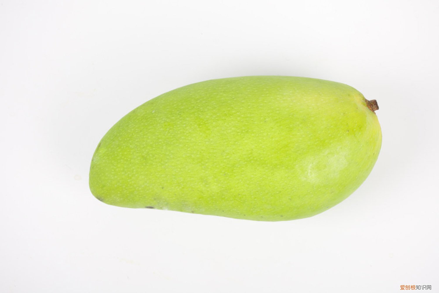 芒果怎么种植方法简单 芒果怎么种植