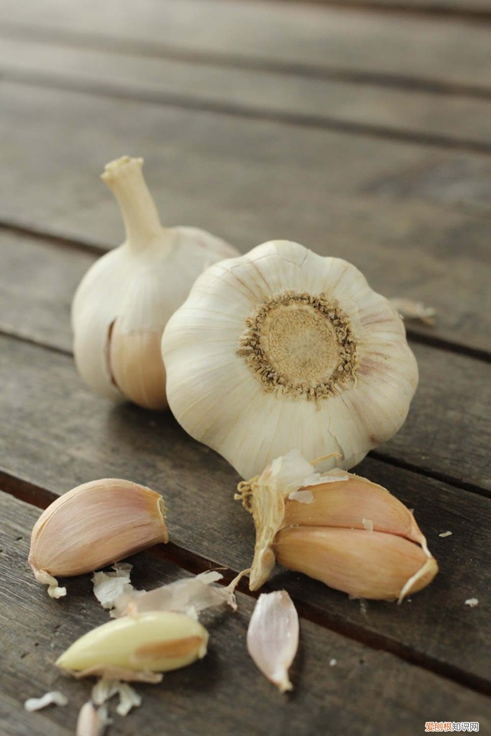 矿泉水瓶怎么种大蒜 怎么种大蒜