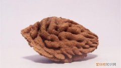 桃核怎么种才能发芽呢 桃核怎么种才能发芽