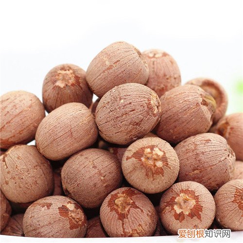 红莲子有什么营养功效 红莲子好还是白莲子好