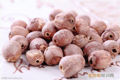 红莲子有什么营养功效 红莲子好还是白莲子好