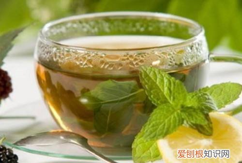 喝荷叶茶能减肥吗4款荷叶减肥茶配方推荐