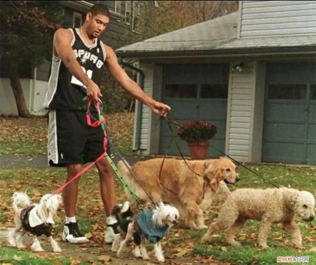 詹姆斯两个品牌五双签名鞋！