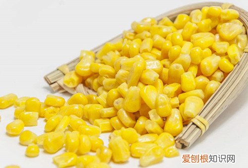 玉米营养价值及功效揭秘新鲜的玉米怎么炒好吃