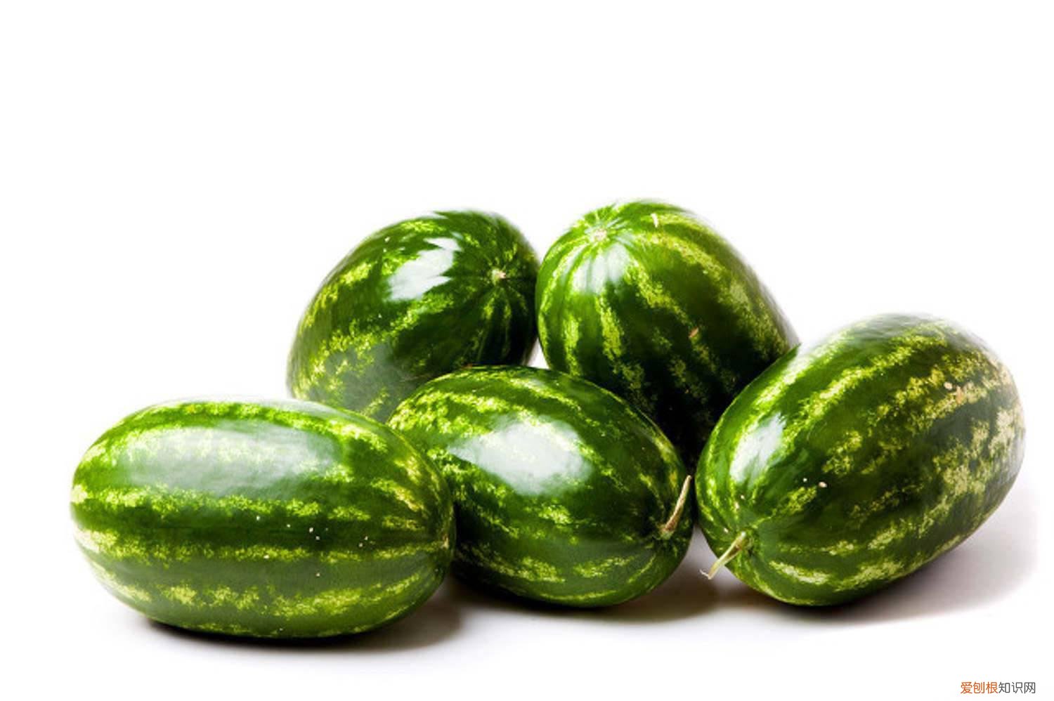 木筏求生西瓜种子怎么种 西瓜种子怎么种