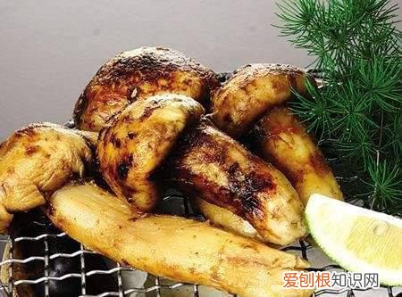 松茸的做法松茸怎么做更好吃