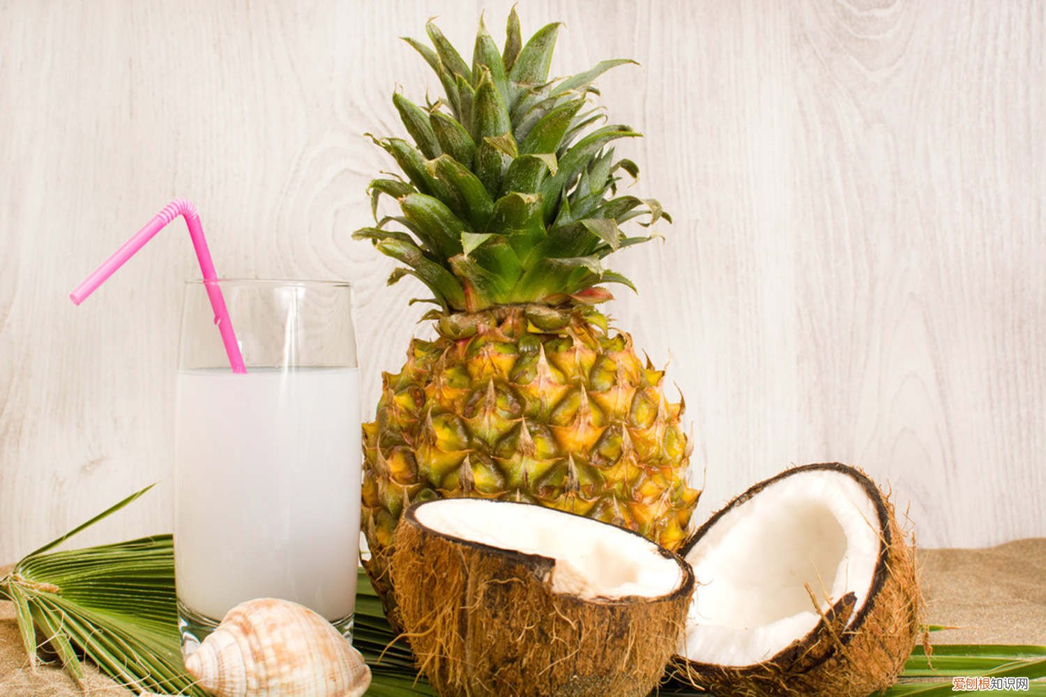 菠萝怎么种植能高产 菠萝怎么种植