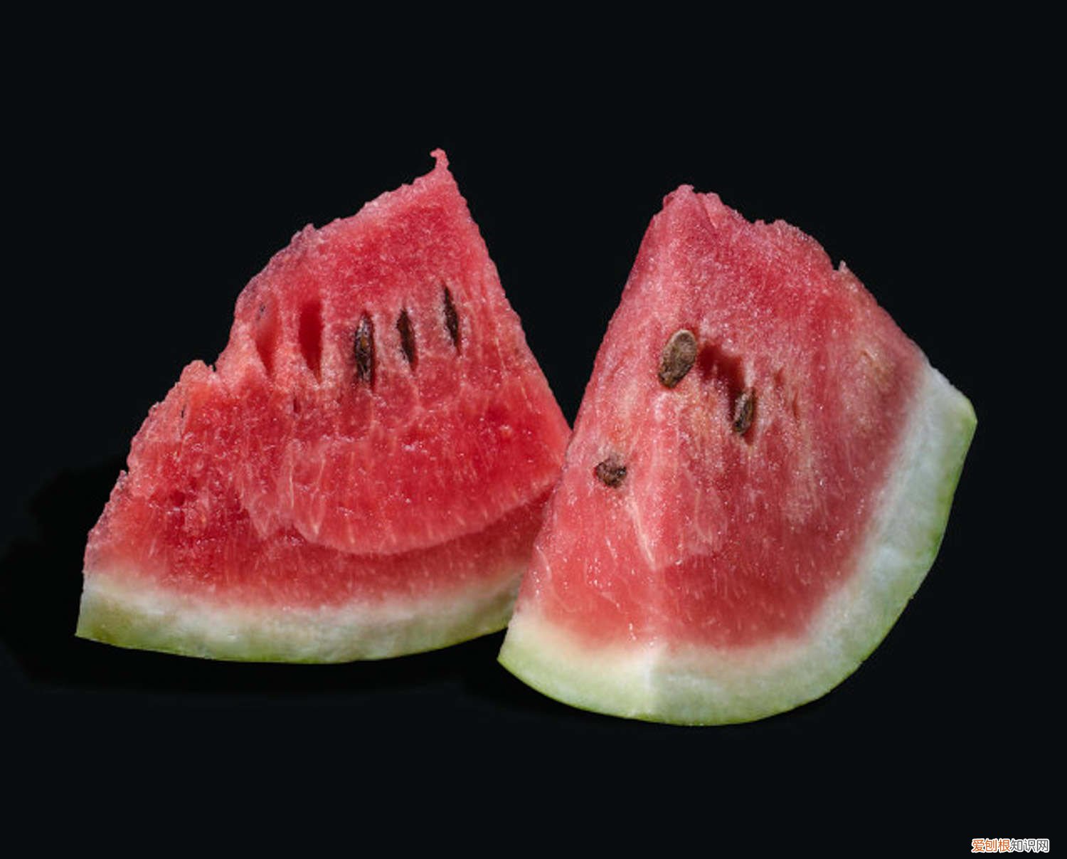 西瓜的籽该怎么种 西瓜籽是怎么种出来的