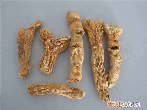 知母的功效与作用知母怎么做好吃