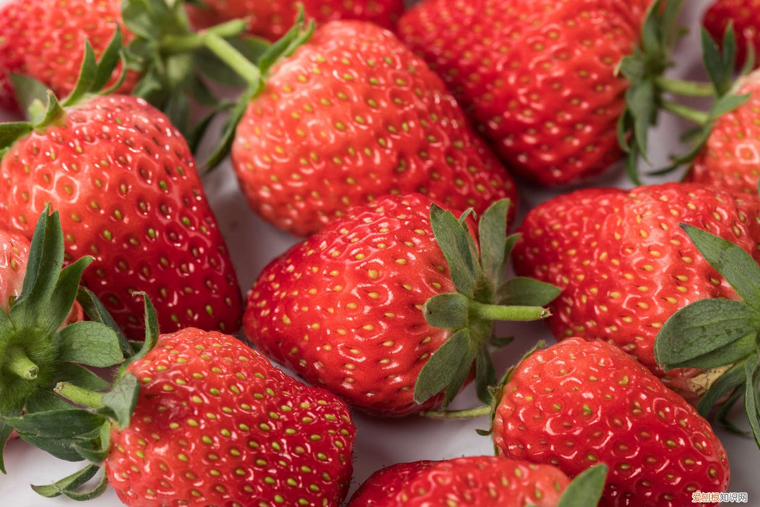 怎么种草莓在脖子上 怎么种草莓