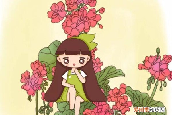 像瀑布一样挂墙上的花 这花挂墙上就开成瀑布,掐点泡水,一年都不生病!