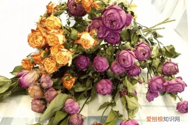 花开得格外新鲜 这种鲜花经久不衰,常开不败,一眼就喜欢上了!