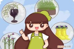 塑料袋套在植物上一小时后的变化 给花套个塑料袋，2天就能蹿一截，越长越壮实！