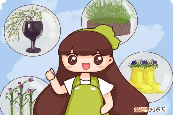 塑料袋套在植物上一小时后的变化 给花套个塑料袋,2天就能蹿一截,越长越壮实!