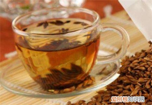 大麦茶的功效与作用有哪些哪些人不能喝大麦茶