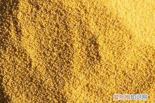 小米和黄米有什么区别饭店的黄米粥怎么做的