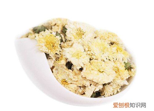 贡菊的功效与作用大揭秘喝贡菊花茶有什么好处