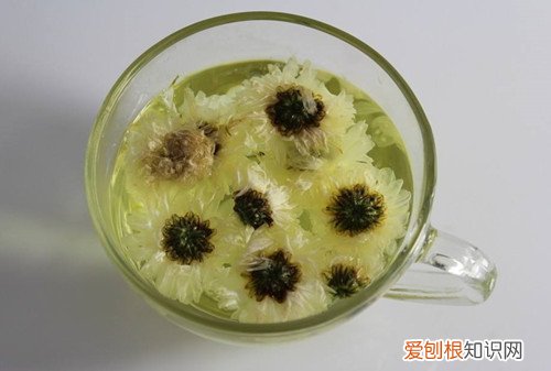 贡菊的功效与作用大揭秘喝贡菊花茶有什么好处