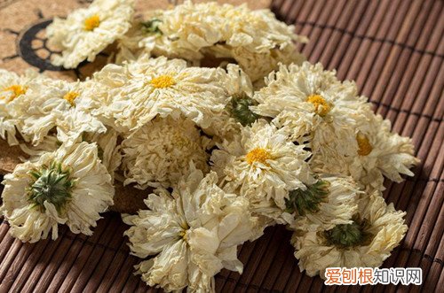 贡菊的功效与作用大揭秘喝贡菊花茶有什么好处