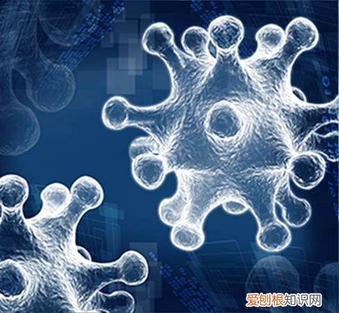 玻尿酸牌子排行榜 玻尿酸品牌哪些好