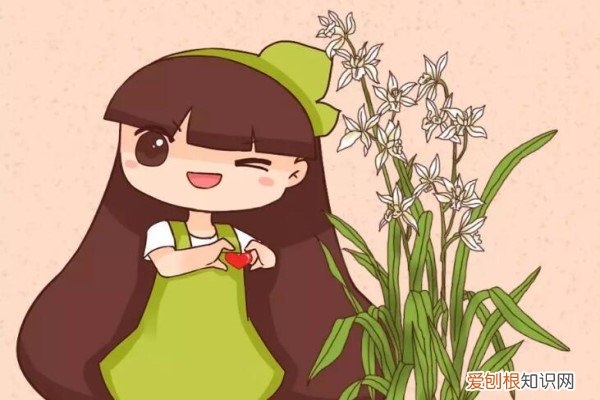 这花入秋就变开花机器,5元入手,2万卖出!