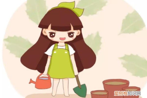 秋天窗台种盆它，一开100天，爆起来拦不住！