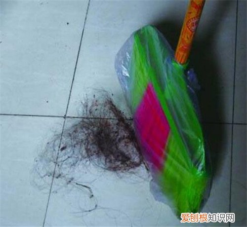 如何清理地板上的头发 实用5招让地板上的头发一扫而光