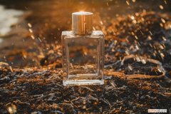 范思哲香水适合年龄（合适的香水增加魅力值)