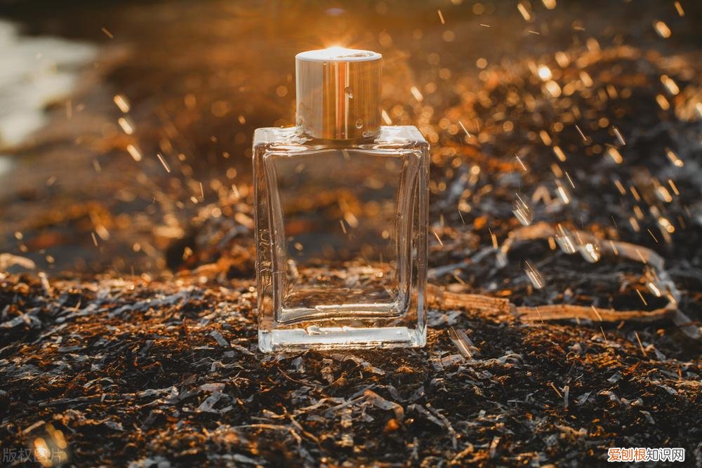 范思哲香水适合年龄(合适的香水增加魅力值)