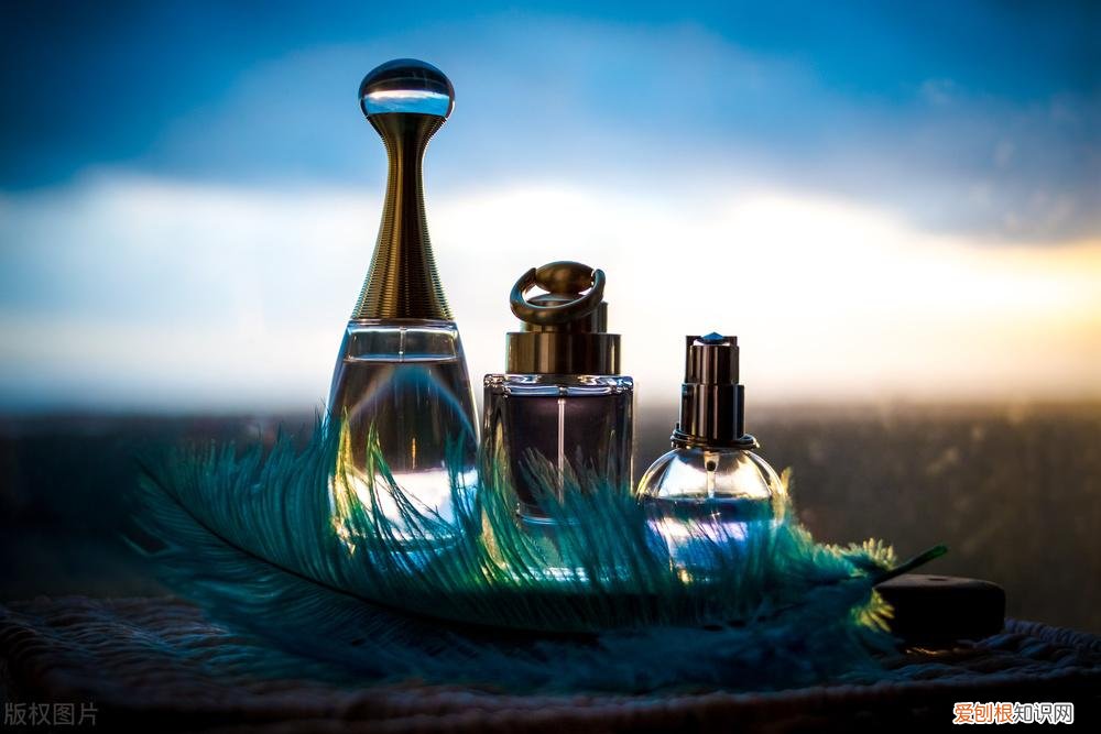 范思哲香水适合年龄(合适的香水增加魅力值)