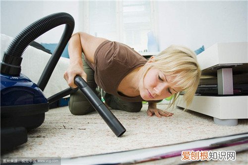 地板上的头发怎么清理 如何能减少地板上的头发