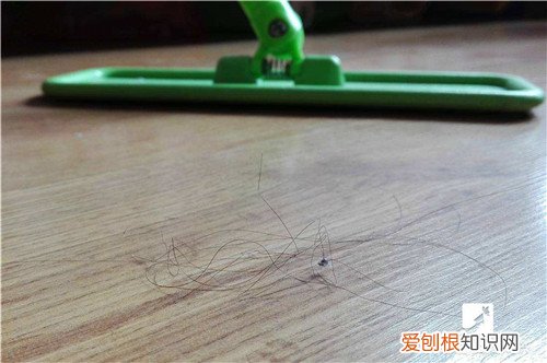 地板上的头发怎么清理 如何能减少地板上的头发