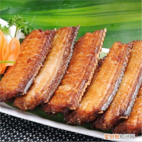 刀鱼价格是多少 刀鱼营养价值有哪些