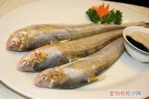 刀鱼价格是多少 刀鱼营养价值有哪些