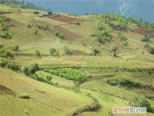 农村土地承包合同范本土地承包合同怎么写才规范