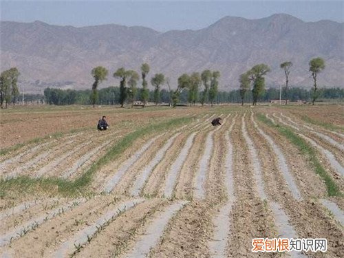 农村土地承包合同范本土地承包合同怎么写才规范