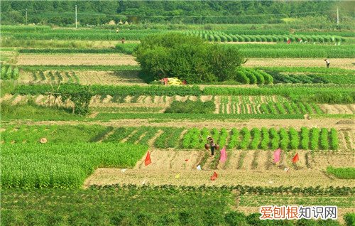农村土地承包合同范本土地承包合同怎么写才规范