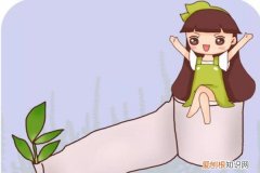 掐根枝裹张纸,7天冒出大白根,3岁小孩都能插活吗 掐根枝裹张纸，7天冒出大白根，3岁小孩都能