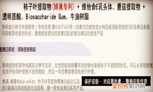 柿子叶的功效与作用 柿子叶泡茶的方法