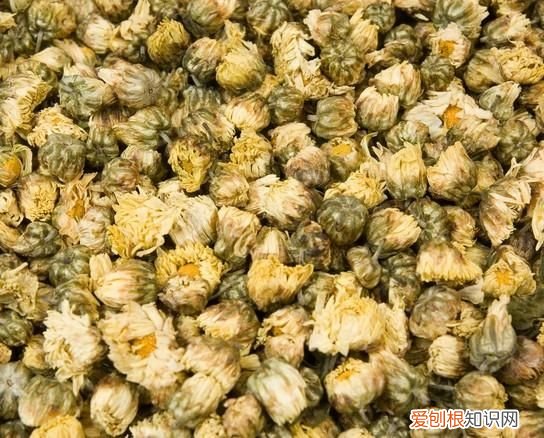 野菊花怎样制作方法 五款超简易的野菊花制法