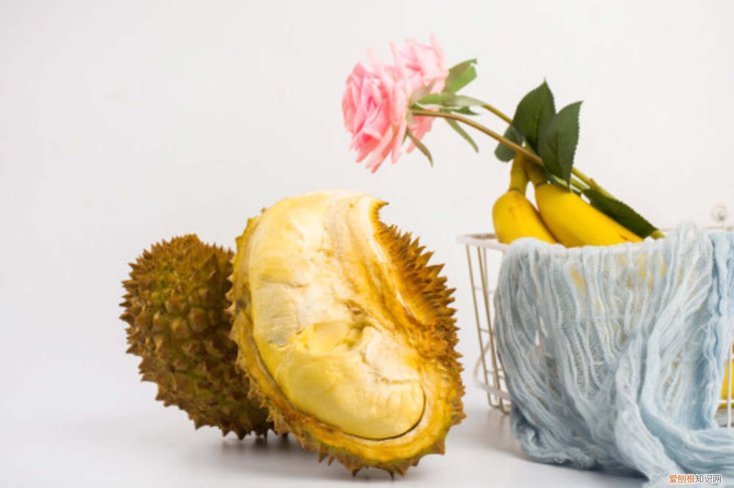榴莲怎么种才能发芽 榴莲怎么种