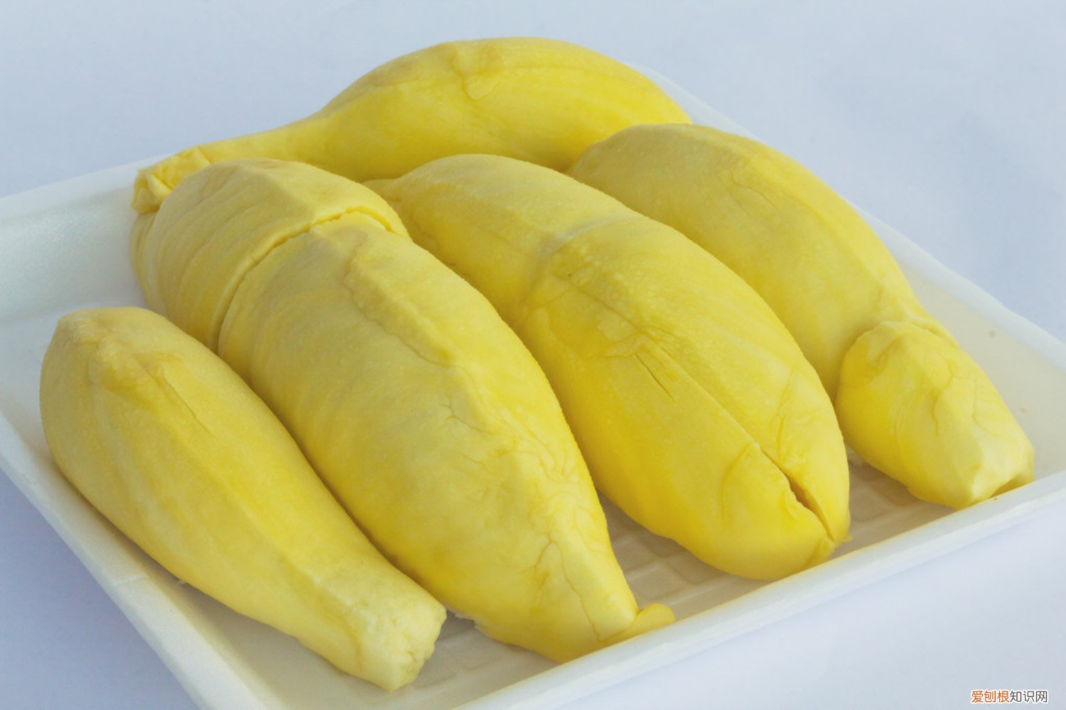 榴莲怎么种才能发芽 榴莲怎么种