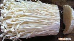 金针菇有根怎么再生 金针菇根可以再生吗