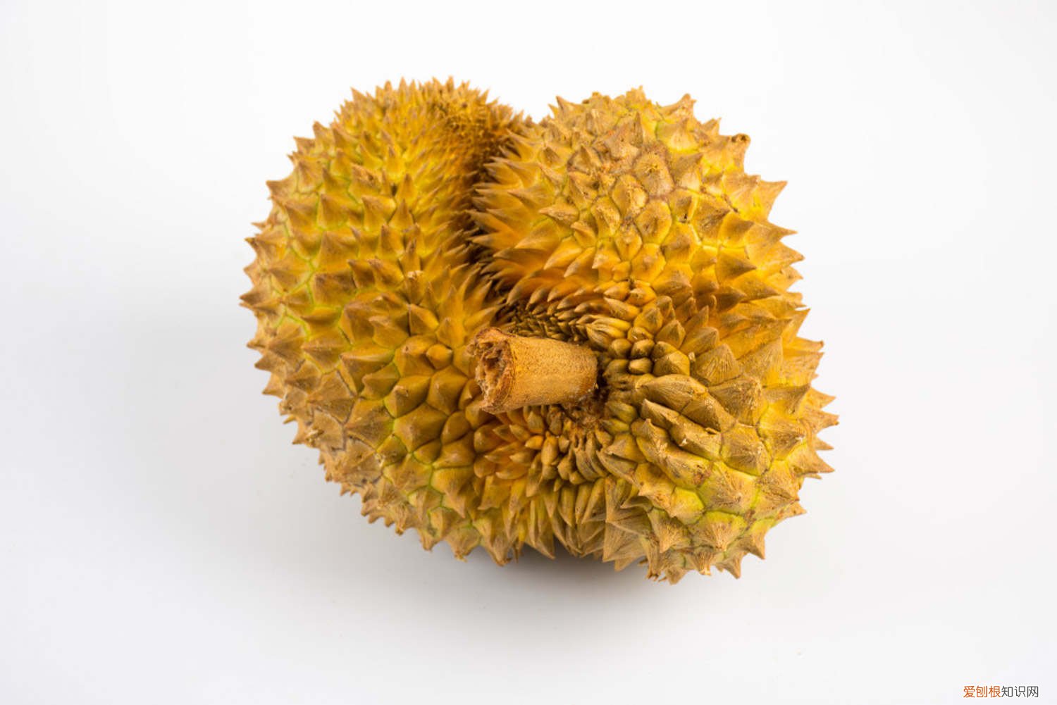 整个榴莲怎么打开 榴莲怎么打开