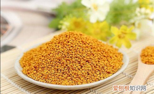 花粉的功效与作用及食用方法 最全花粉知识介绍