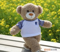 布娃娃熊买哪个牌子好 制作布娃娃熊要怎么做