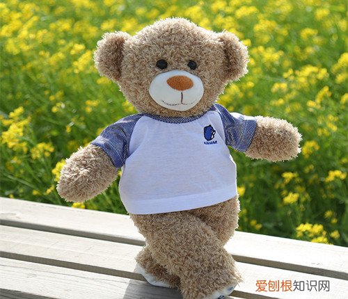 布娃娃熊买哪个牌子好 制作布娃娃熊要怎么做